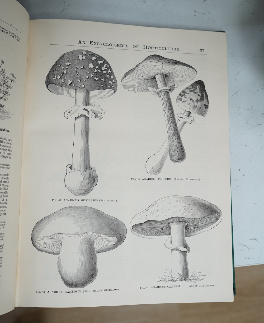 Nicholson, George (editor) - The Illustrated Dictionary of Gardening, 8 vols, 4to, green pictorial boards, c.1885. Condition - poor/fair